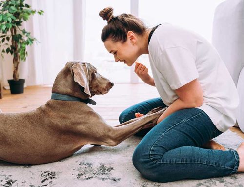 Self-Care that Actually Helps 